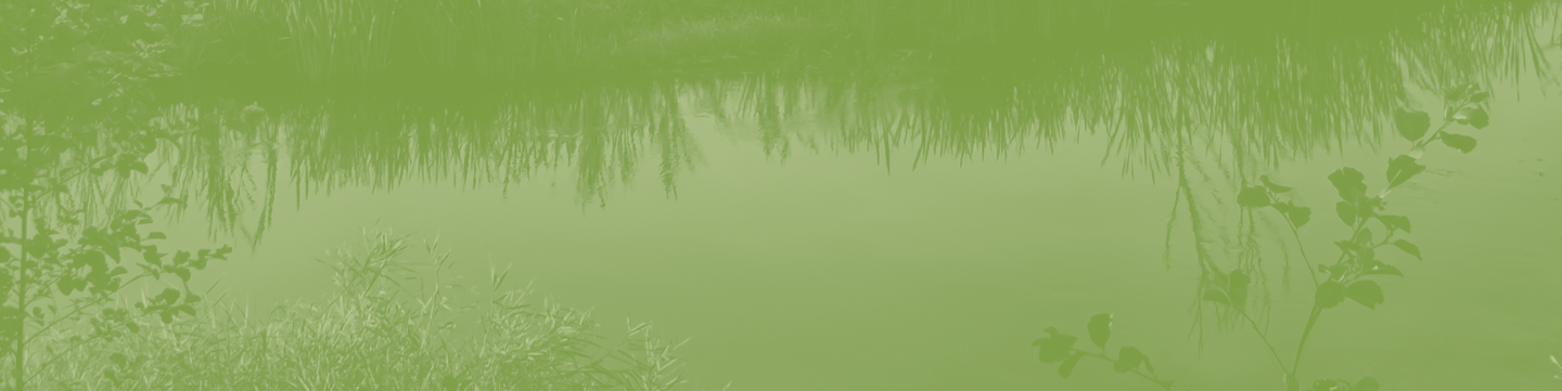 Now Available: Technical Guidance for Green Roofs