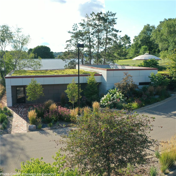 Green roof at Promega's Louvre West building in Fitchburg, Wisconsin.