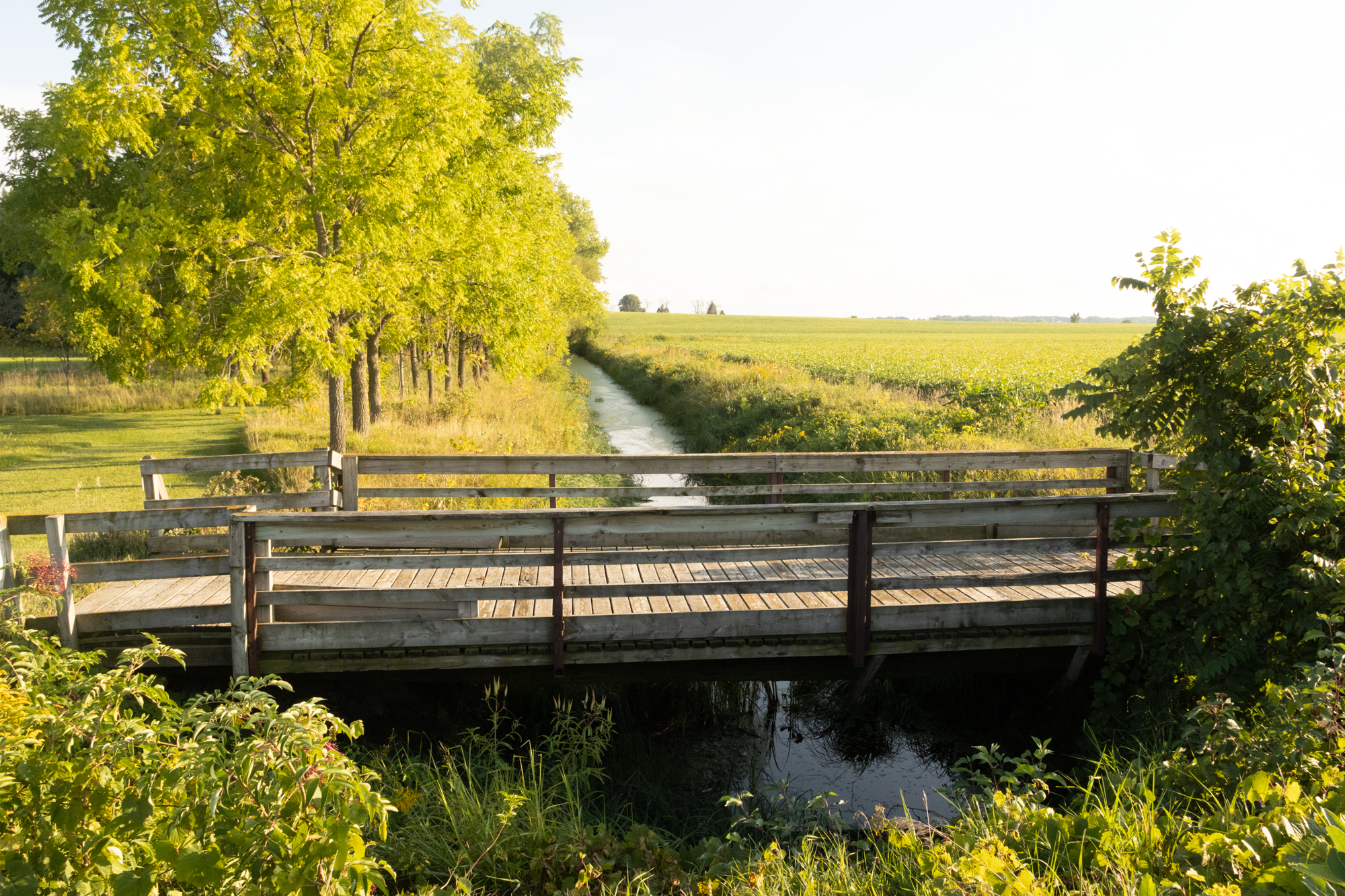 Building the Water Quality Management Framework: Stakeholder Outreach Update